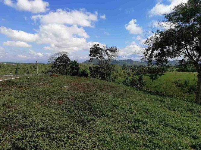 Lote en venta en Combia, Pereira · foto 21 de 22