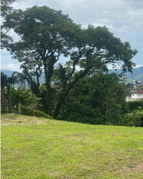Lote en venta en La Florida, Pereira · foto 6 de 8