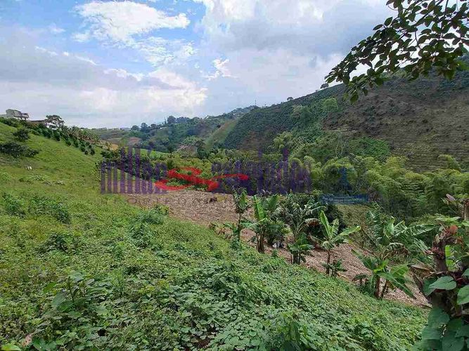 Lote en venta en Condina, Pereira, 1081 m² · foto 4 de 19