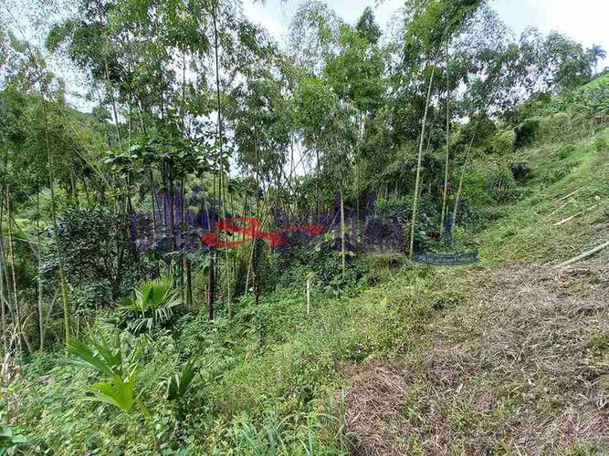 Lote en venta en Condina, Pereira, 1081 m² · foto 5 de 19