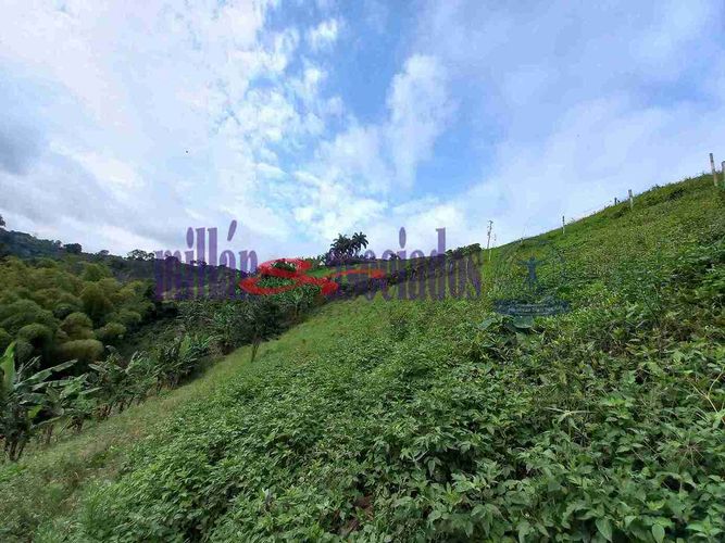 Lote en venta en Condina, Pereira, 1081 m² · foto 9 de 19