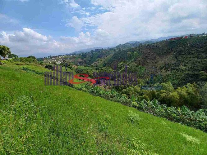 Lote en venta en Condina, Pereira, 1081 m² · foto 10 de 19