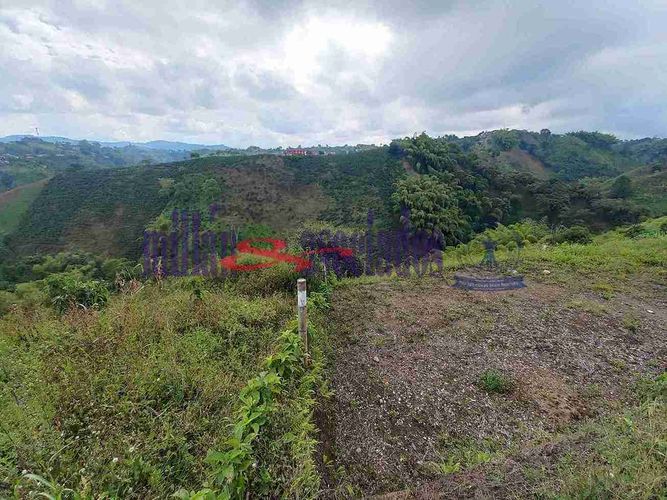 Lote en venta en Condina, Pereira, 1081 m² · foto 11 de 19