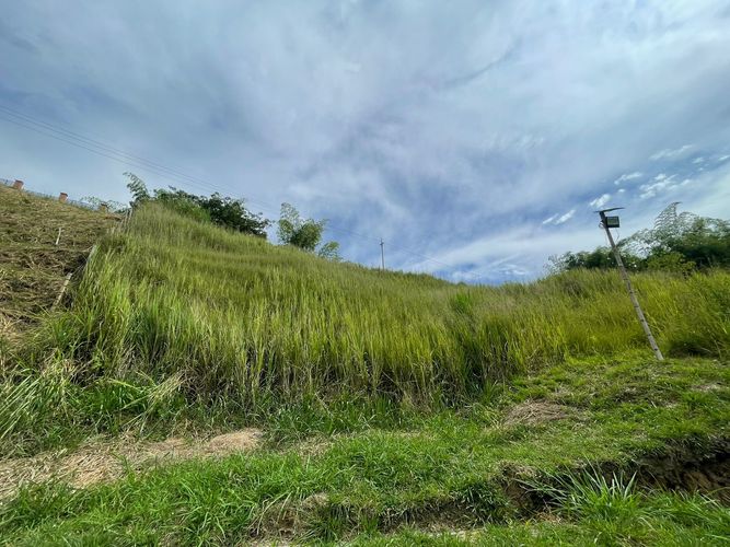 Lote en venta en Cerritos, Pereira · foto 2 de 21