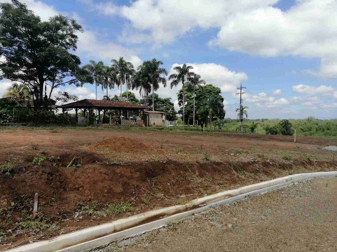 Lote en venta en Combia, Pereira · foto 13 de 24
