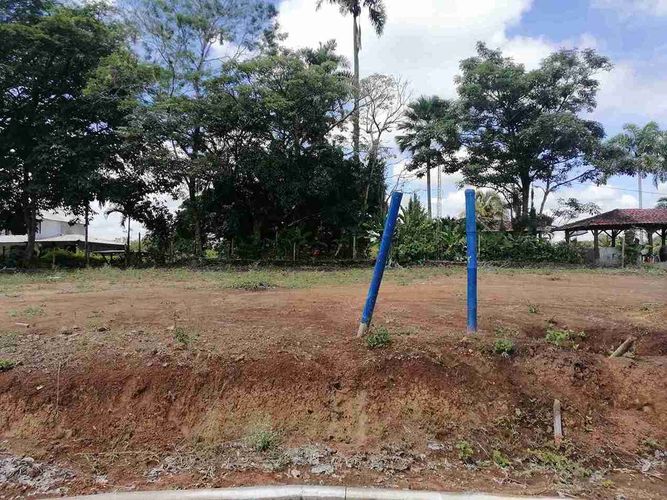 Lote en venta en Combia, Pereira · foto 15 de 24
