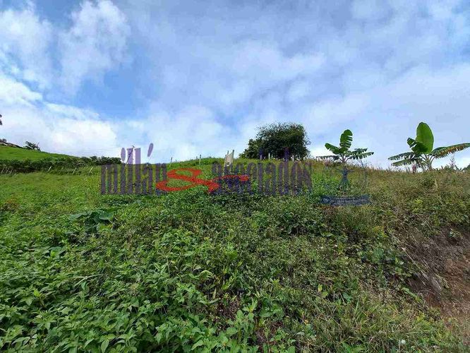 Lote en venta en Condina, Pereira, 1732 m² · foto 2 de 19