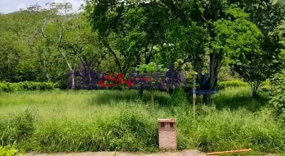 Lote en venta en Kilometro 41, Manizales, 1519 m² · foto 3 de 20