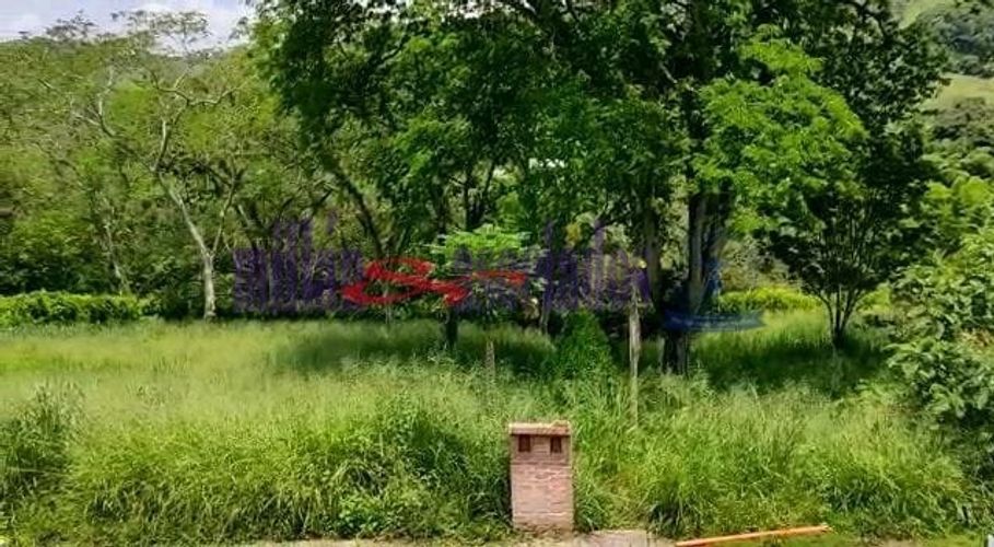 Lote en venta en Kilometro 41, Manizales, 1519 m² · foto 4 de 20