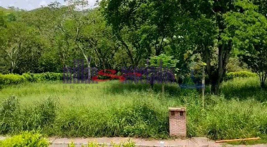 Lote en venta en Kilometro 41, Manizales, 1519 m² · foto 5 de 20