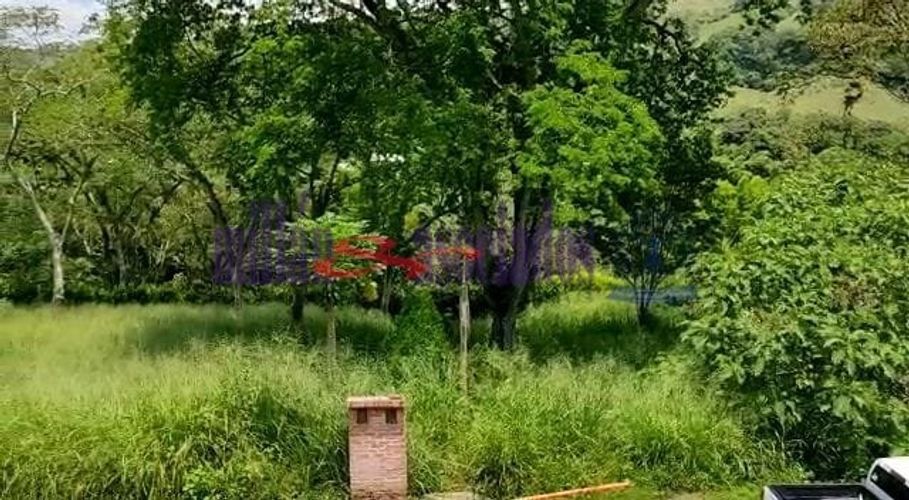Lote en venta en Kilometro 41, Manizales, 1519 m² · foto 7 de 20