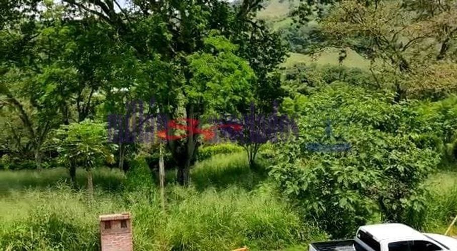 Lote en venta en Kilometro 41, Manizales, 1519 m² · foto 9 de 20