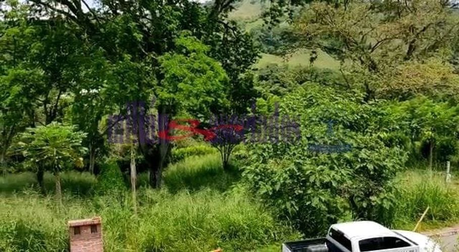 Lote en venta en Kilometro 41, Manizales, 1519 m² · foto 10 de 20