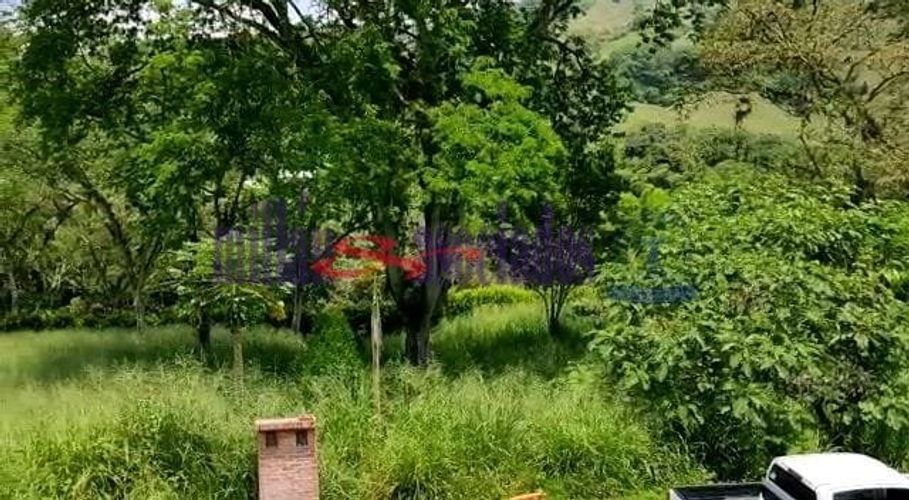Lote en venta en Kilometro 41, Manizales, 1519 m² · foto 12 de 20