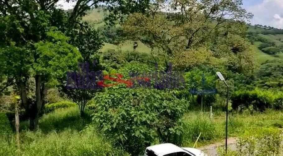 Lote en venta en Kilometro 41, Manizales, 1519 m² · foto 14 de 20