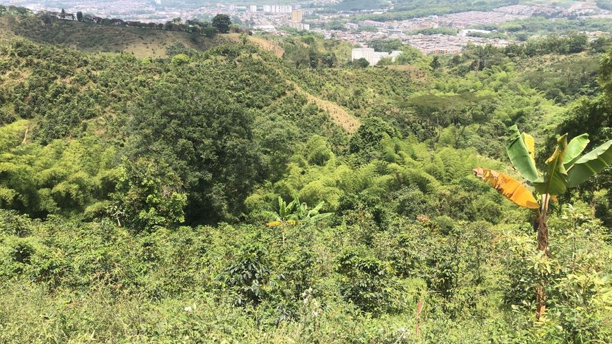 Lote en venta en El Rodeo, Dosquebradas, 200 m² · foto 2 de 24