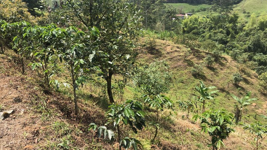Lote en venta en El Rodeo, Dosquebradas, 200 m² · foto 7 de 24