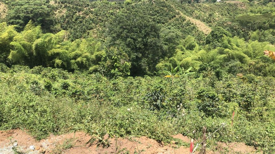 Lote en venta en El Rodeo, Dosquebradas, 200 m² · foto 11 de 24