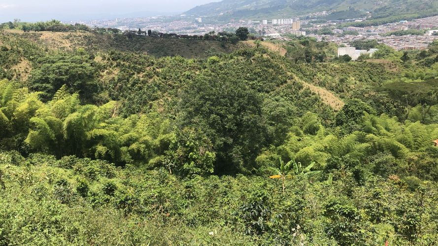 Lote en venta en El Rodeo, Dosquebradas, 200 m² · foto 12 de 24