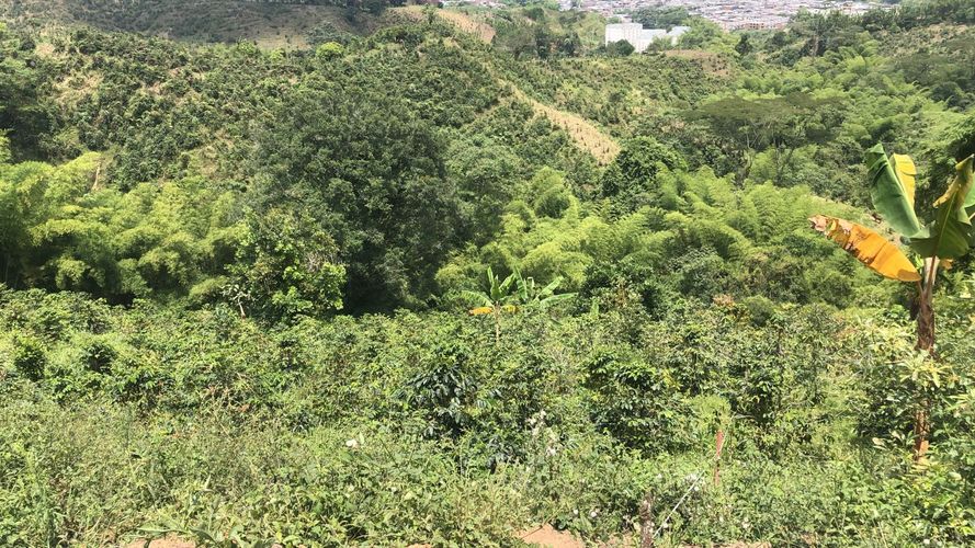 Lote en venta en El Rodeo, Dosquebradas, 200 m² · foto 13 de 24