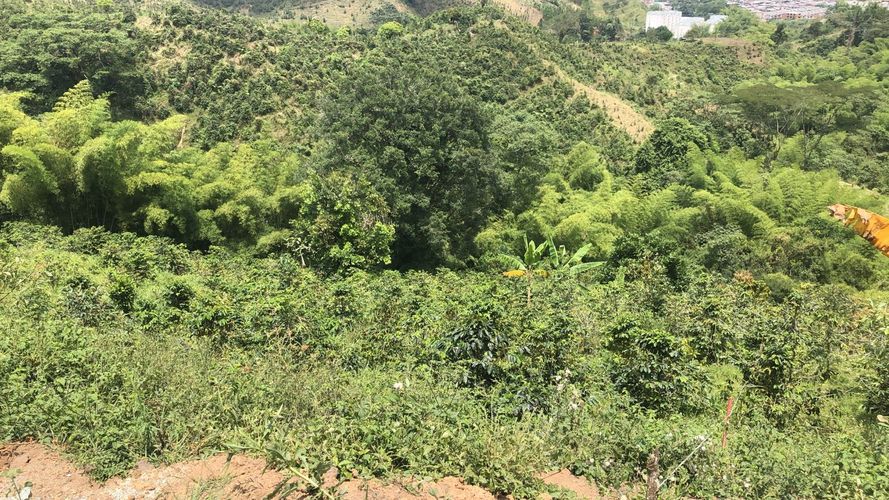 Lote en venta en El Rodeo, Dosquebradas, 200 m² · foto 17 de 24