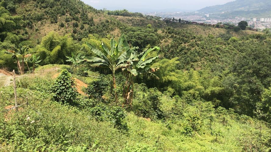 Lote en venta en El Rodeo, Dosquebradas, 200 m² · foto 20 de 24