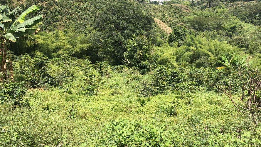 Lote en venta en El Rodeo, Dosquebradas, 200 m² · foto 21 de 24