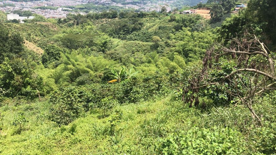 Lote en venta en El Rodeo, Dosquebradas, 200 m² · foto 24 de 24