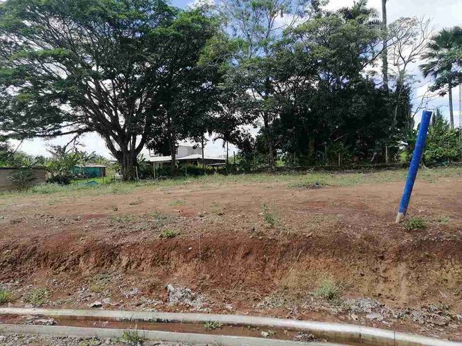 Lote en venta en Combia, Pereira · foto 16 de 24
