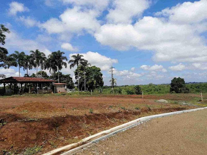 Lote en venta en Combia, Pereira · foto 24 de 24