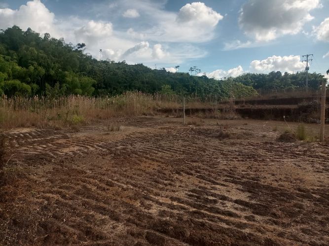 Lote en venta en Tribunas Corcega, Pereira, 600 m² · foto 2 de 15
