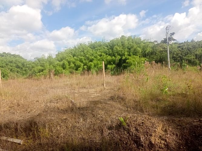 Lote en venta en Tribunas Corcega, Pereira, 600 m² · foto 13 de 15