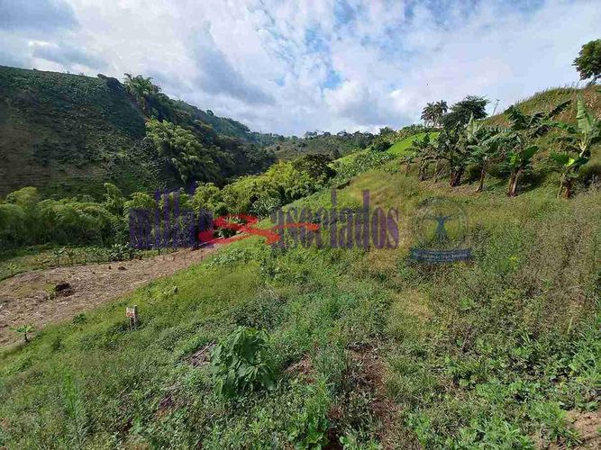 Lote en venta en Condina, Pereira, 1522 m² · foto 13 de 19