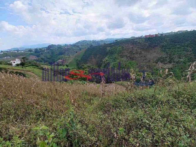 Lote en venta en Condina, Pereira, 1522 m² · foto 15 de 19