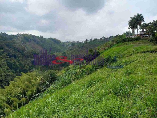 Lote en venta en Condina, Pereira, 1522 m² · foto 16 de 19