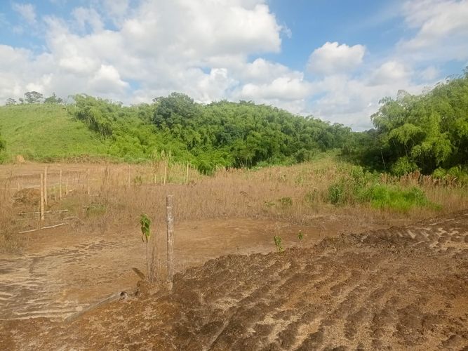 Lote en venta en Tribunas Corcega, Pereira, 600 m² · foto 3 de 15
