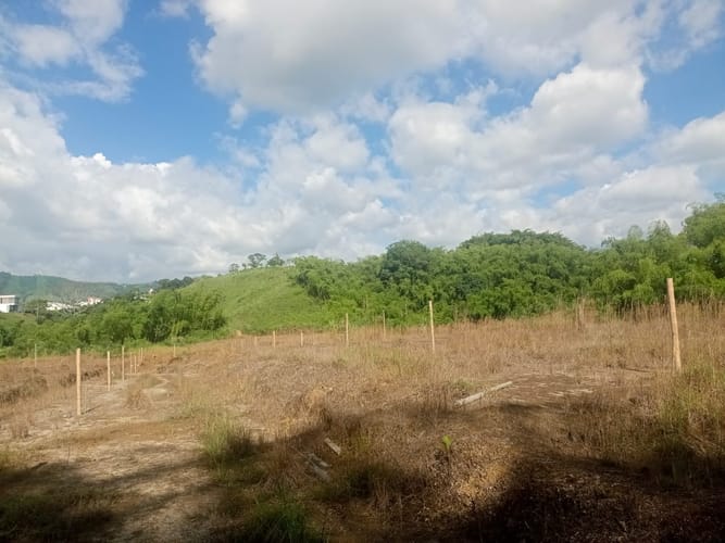 Lote en venta en Tribunas Corcega, Pereira, 600 m² · foto 6 de 15