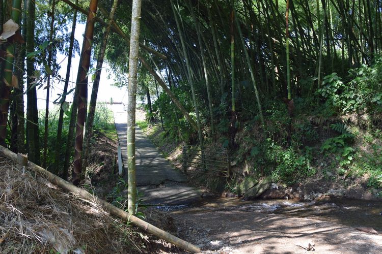 Finca en venta en La Cabaña, Manizales, 100 m² · foto 4 de 15