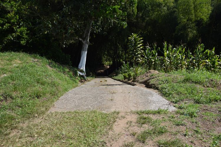 Finca en venta en La Cabaña, Manizales, 100 m² · foto 6 de 15