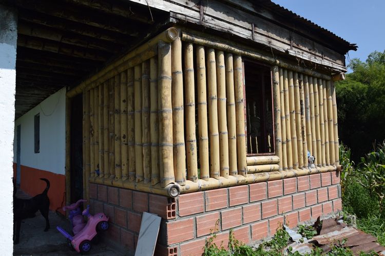 Finca en venta en La Cabaña, Manizales, 100 m² · foto 7 de 15