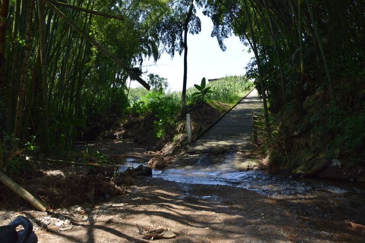 Finca en venta en La Cabaña, Manizales, 100 m² · foto 15 de 15