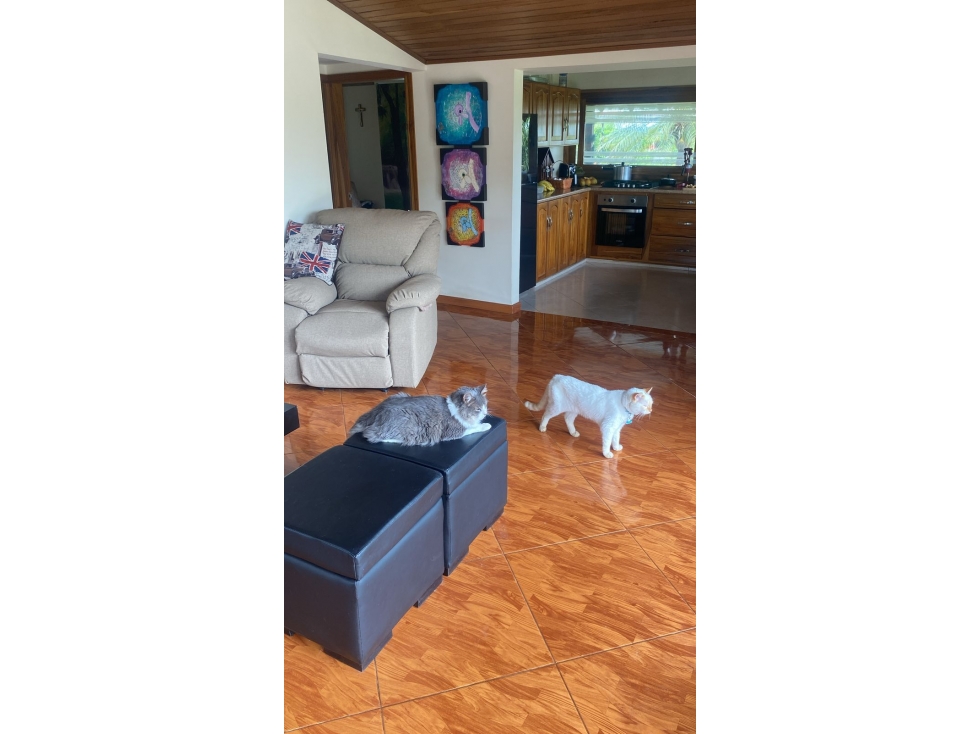 Casa en venta en La Estrella La Palm, Pereira · foto 6 de 17