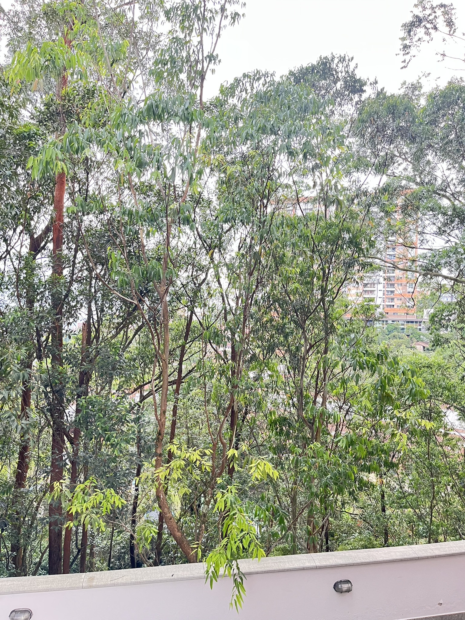Apartamento en venta en Zuñiga, Envigado · foto 23 de 24