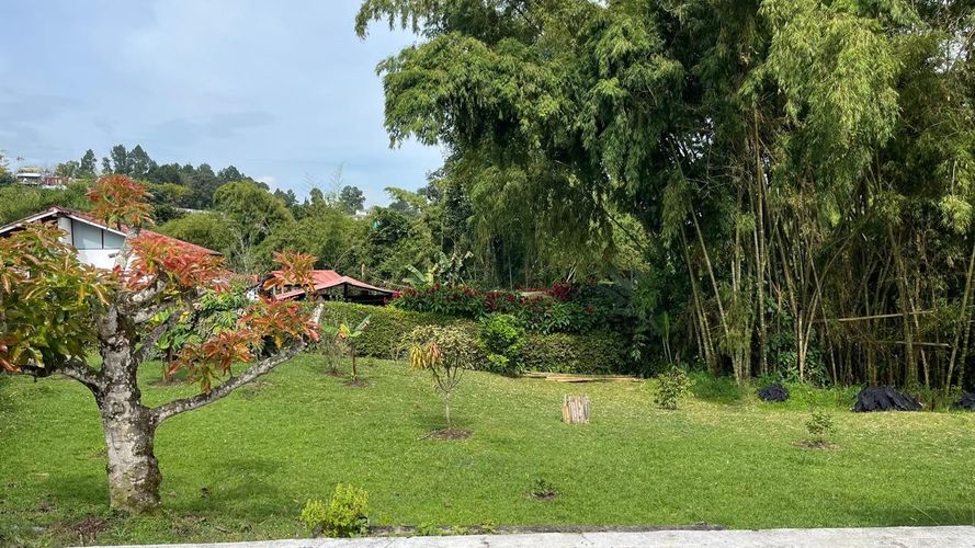 Casa de 5 alcobas en venta en Tribunas Corcega, Pereira, 327 m² · foto 5 de 19