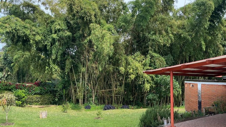 Casa de 5 alcobas en venta en Tribunas Corcega, Pereira, 327 m² · foto 6 de 19