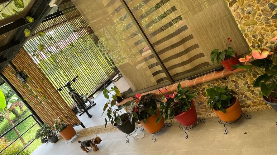 Casa de 5 alcobas en venta en Tribunas Corcega, Pereira, 327 m² · foto 13 de 19