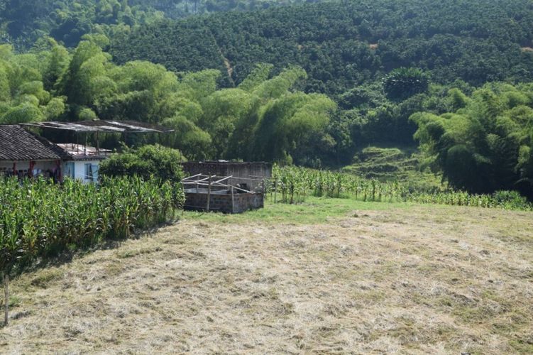 Finca en venta en La Cabaña, Manizales, 25000 m² · foto 7 de 15
