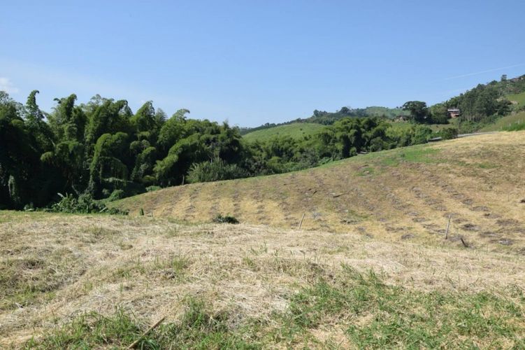 Finca en venta en La Cabaña, Manizales, 25000 m² · foto 10 de 15