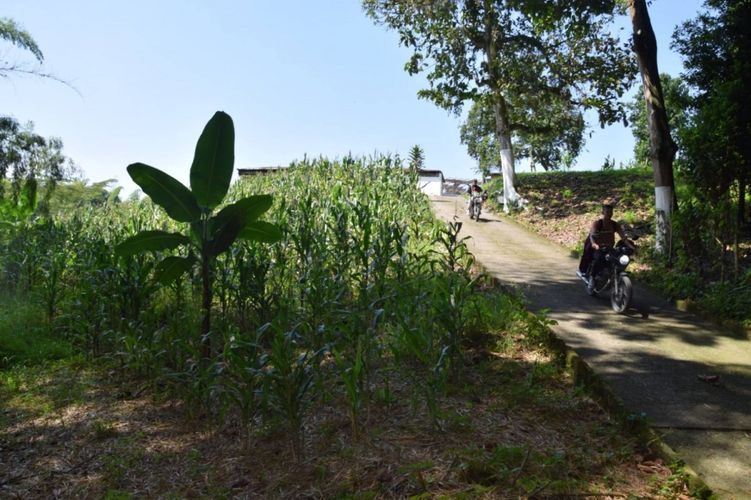 Finca en venta en La Cabaña, Manizales, 25000 m² · foto 12 de 15