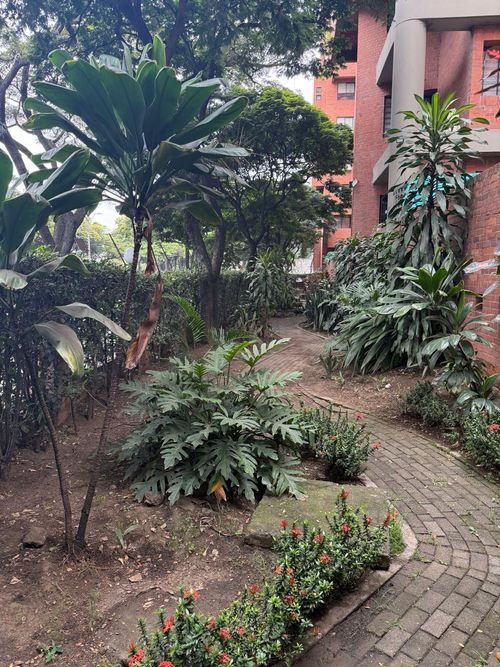 Apartamento de 3 alcobas en venta en Chipichape, Cali, 136 m² · foto 14 de 17
